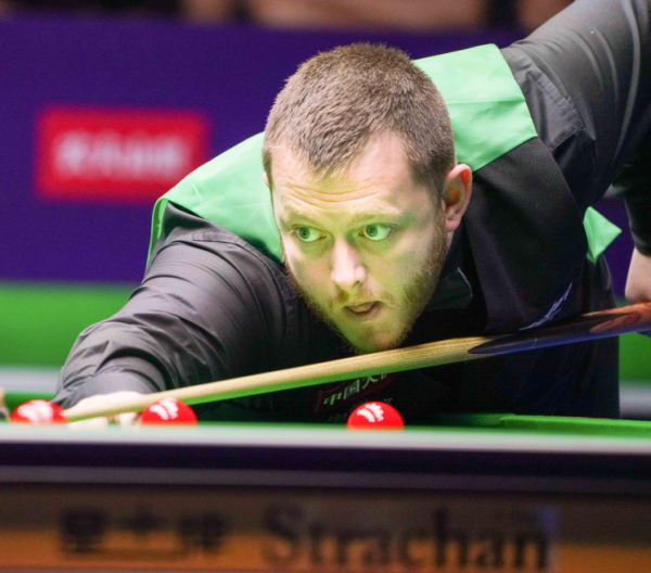 不仅体现了 不仅体现了