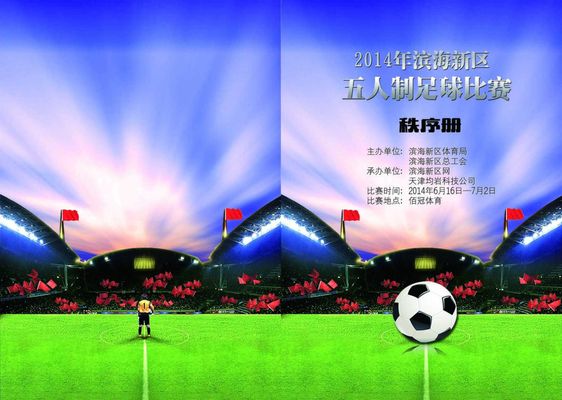 争欧冠资格 争欧冠资格