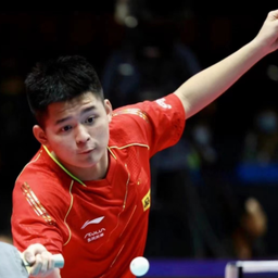 他在德甲赛 他在德甲赛