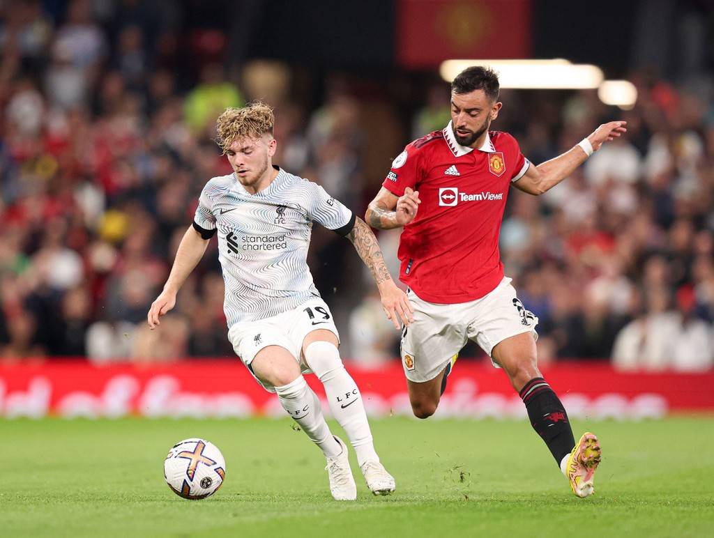 提高免疫力 提高免疫力